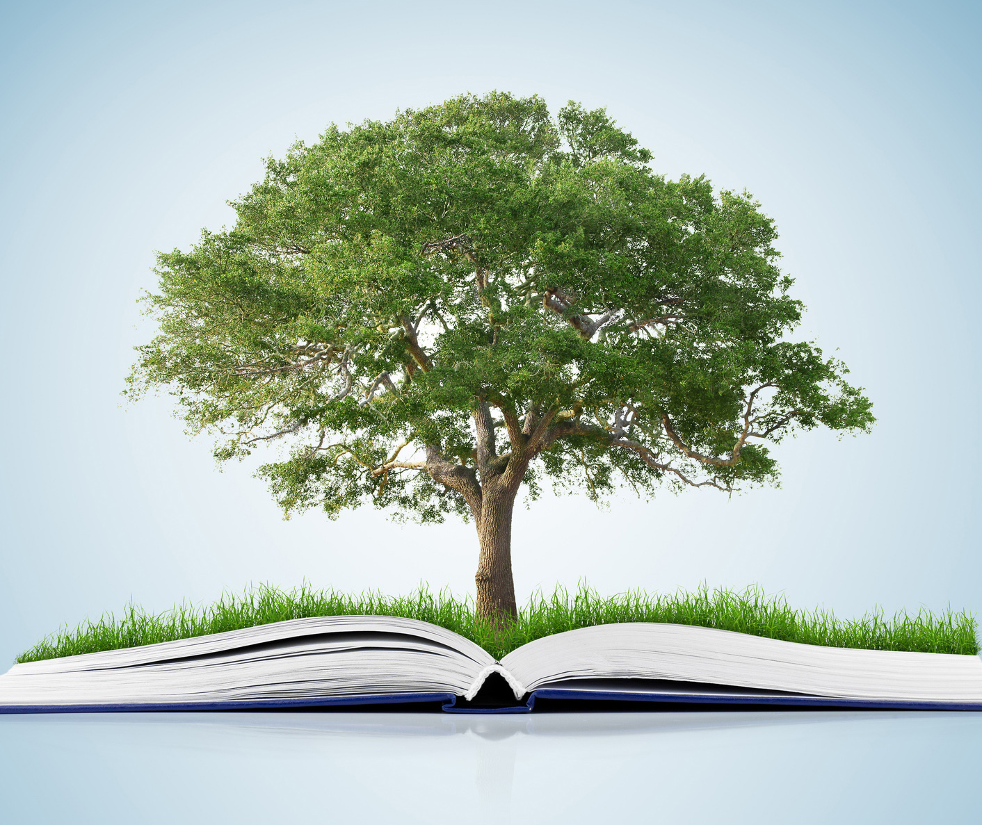 arbol